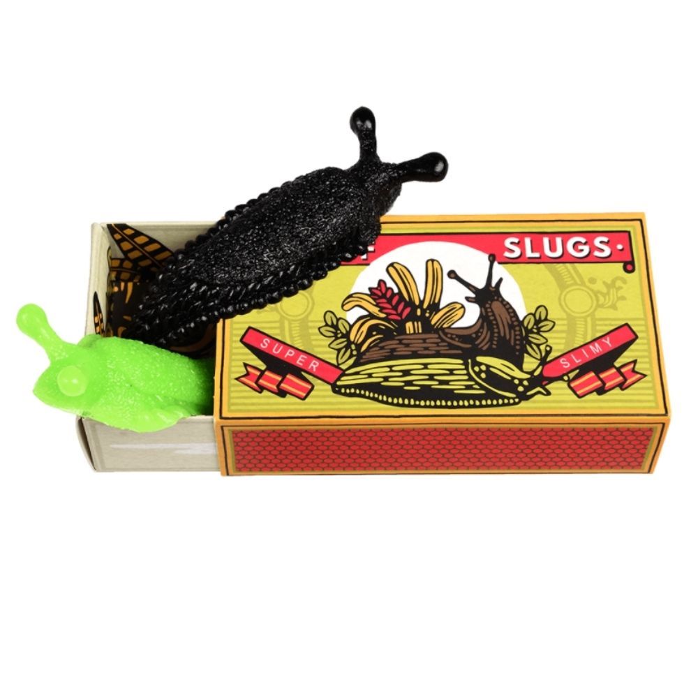 SCHNÄGGE - Schleimschnecken